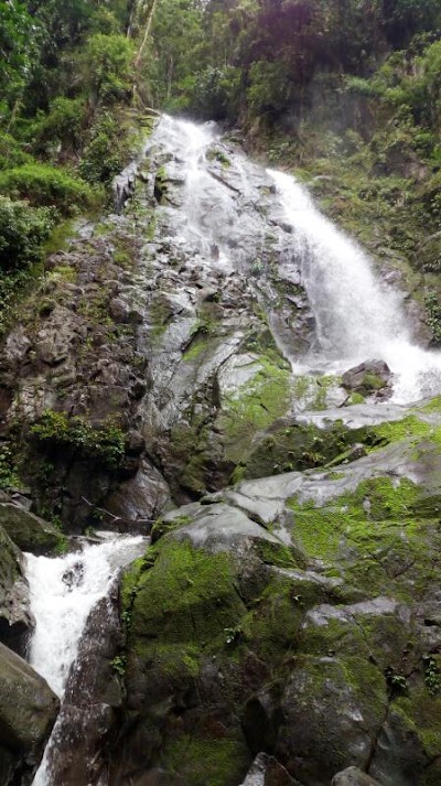 natural-feature
