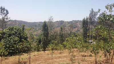Photos of Muringa Shopping Centre