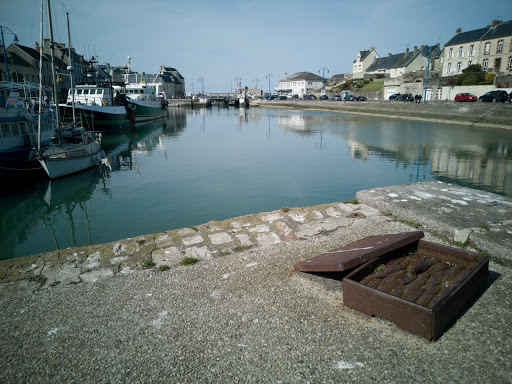 Tour Vauban - Thumbnail