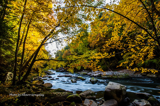 McConnells Mill State Park - Thumbnail