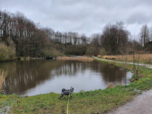 WITHNELL NATURE TRAIL