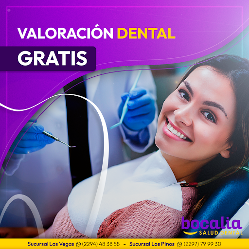 Bocalia Dental Los Pinos - Thumbnail