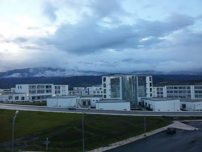 university