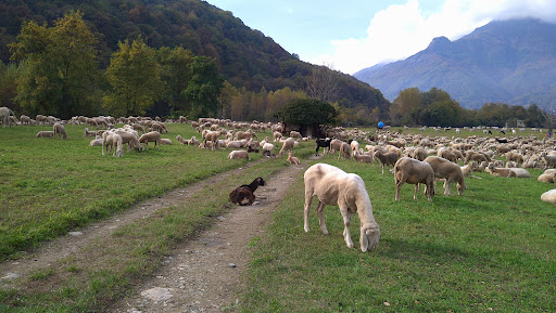 Parco di Luserna San Giovanni - Thumbnail