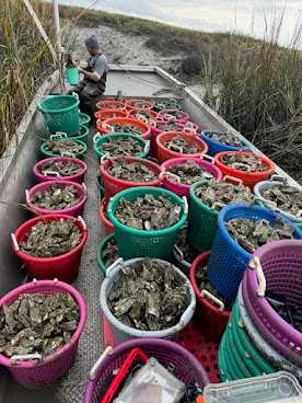 Lowcountry Oyster Co. by null