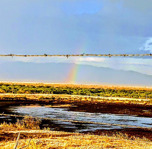 Bosque Dairy Gallery - United States