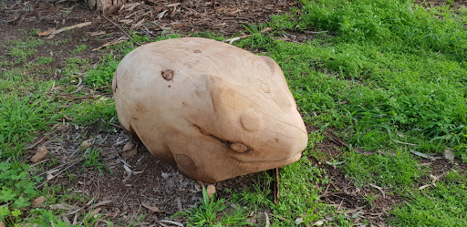 Fourth Creek Nature Play Trail - Thumbnail