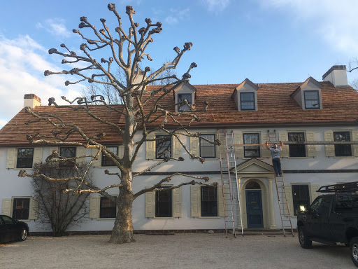 Roof Replacement And Repair Upper Saddle River - Thumbnail