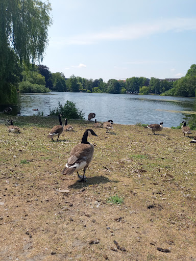 Hundeauslauffläche Schreven Park - Thumbnail