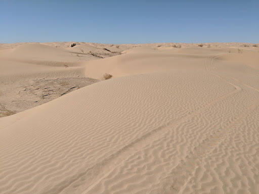 Ogilby Campground BLM - Thumbnail