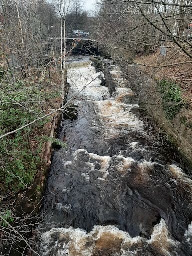 Allander Fish ladder Gallery - United Kingdom