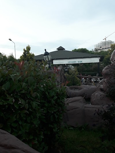 Photos of Green Garden Cafe Ve Restaurant