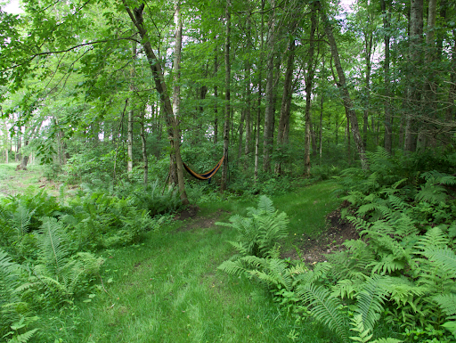 Springhetti Acres - Visual