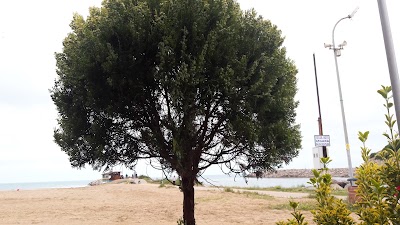 Photos of Agva Coast Square