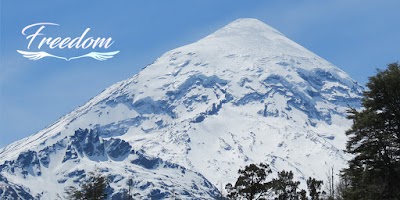 Photos of FREEDOM Travel and Tourism