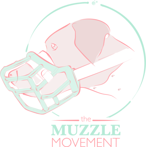 The Muzzle Movement - Visual