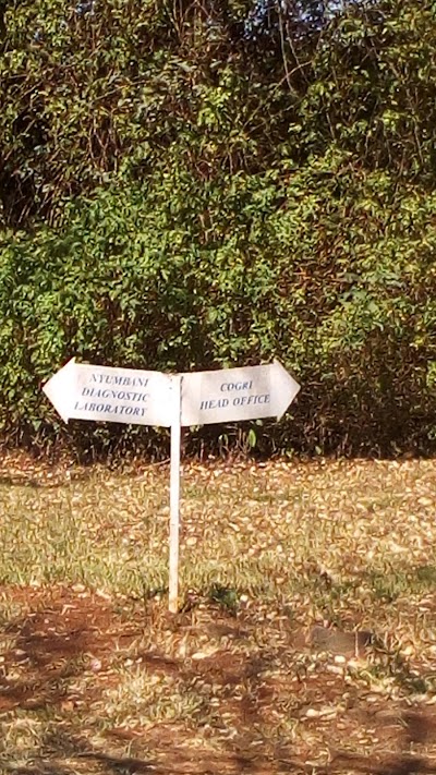 Photos of Nyumbani Diagnostic Lab