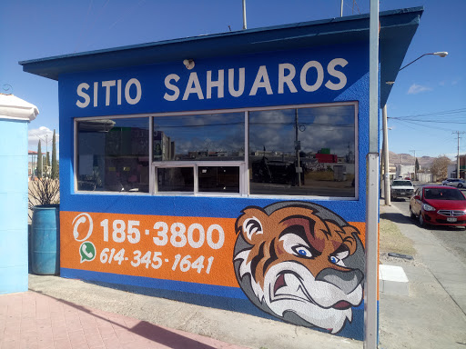 Sitio Sahuaros