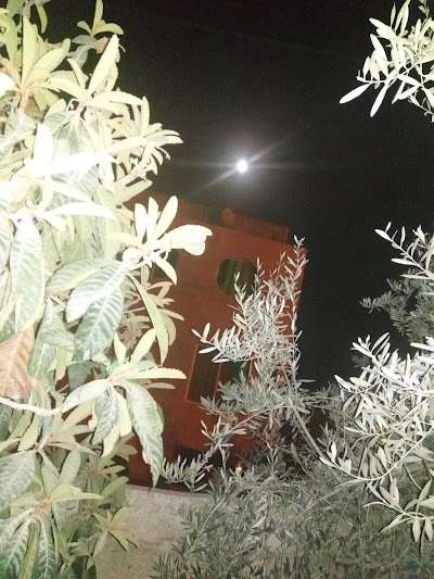 Photos of AL MOLTAQA CAFE الملتقى كافيه