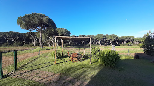 Quercesecca - Visual