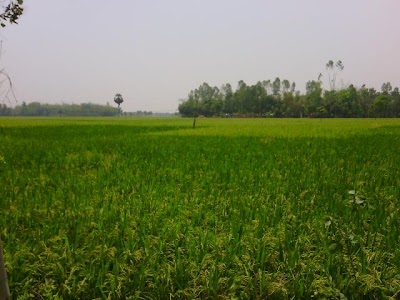 Photos of Gaganpur Bazar
