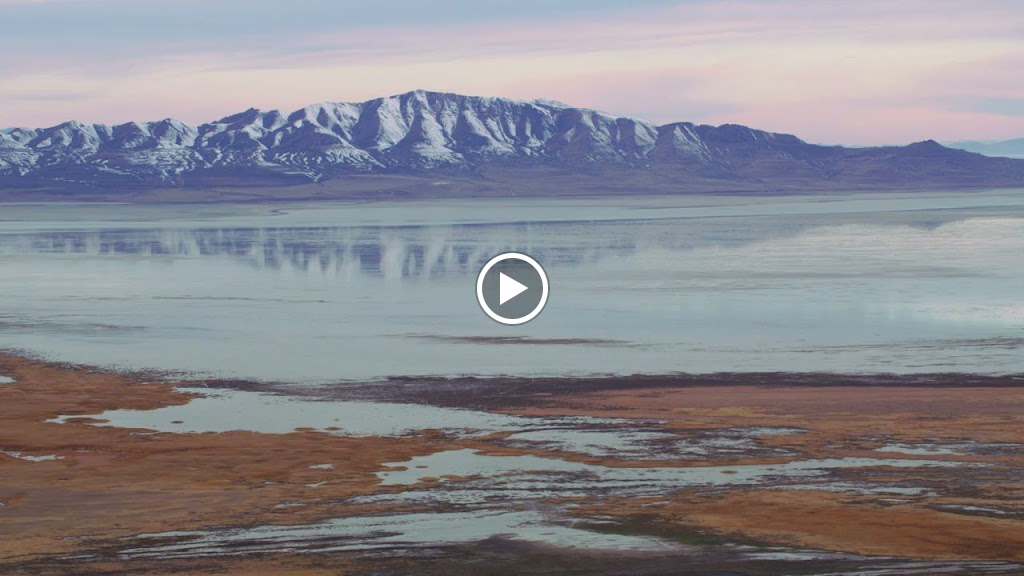 Feller Wendt Llc Personal Injury Car Accident Lawyers