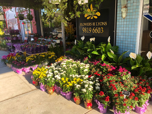 Flowers On Lyons - Thumbnail