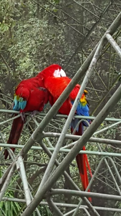 Photos of Bird Dome - Observatory