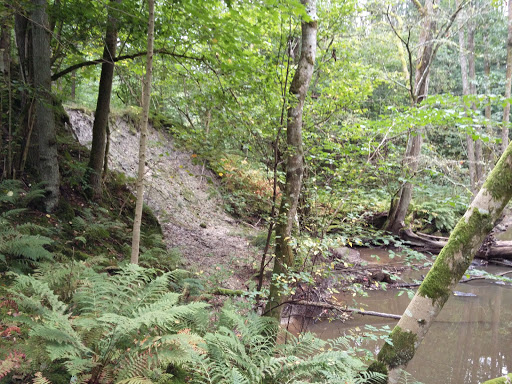 Naturreservatet Bratteforsån - Thumbnail