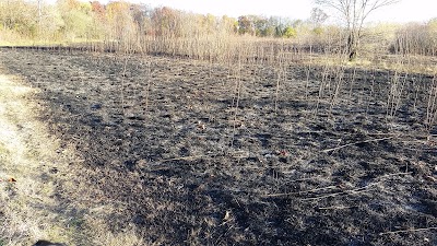 Photos of Boot Lake Nature Preserve