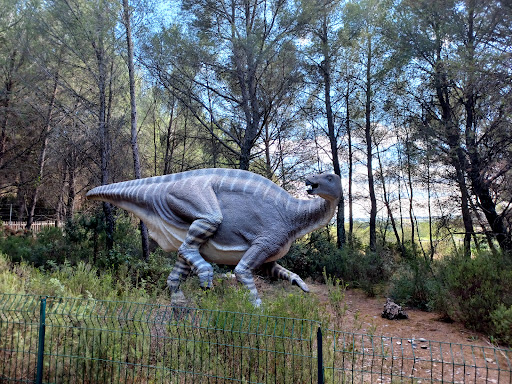 Musée des Dinosaures - Thumbnail