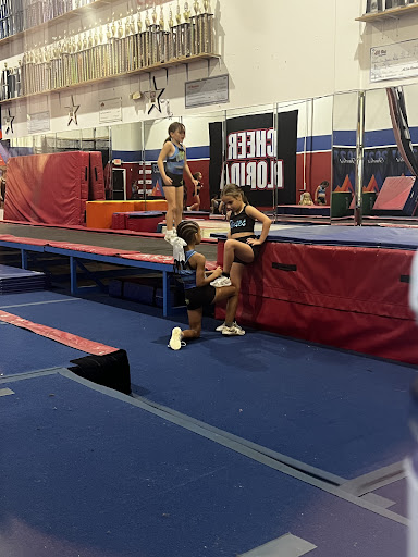 Cheer Florida - Visual