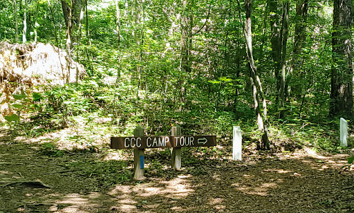 Grundy Forest State Natural Area at South Cumberland State Park - Thumbnail