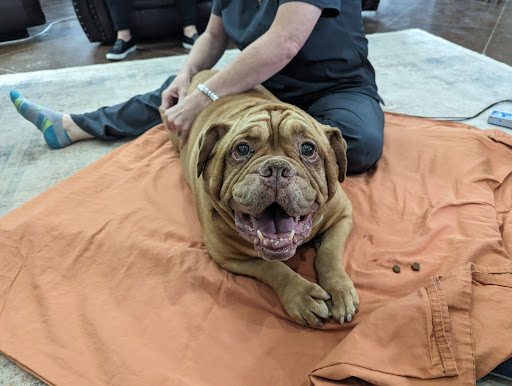 Cooper Animal Rehab & Wellness, LLC - Thumbnail