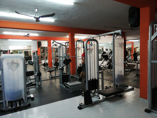 Style Gym