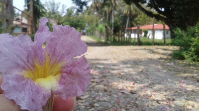 Photos of Punta Brava