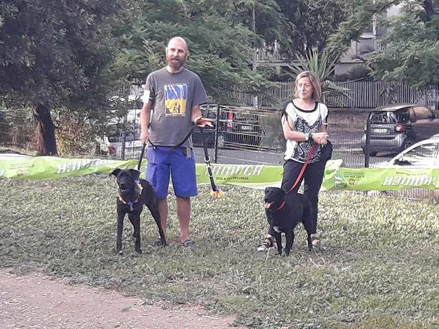 Parco Lucio Mario Perpetuo