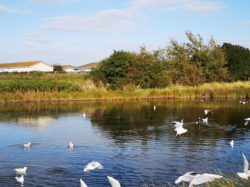 Canvey Heights Country Park - Thumbnail