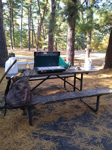 Pine Campground - Visual