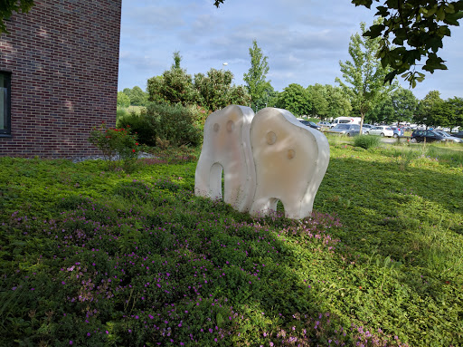 Dental Center Paderborn - ZMZ - Thumbnail