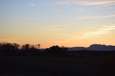 Bosque del Apache NWR Entrance Station