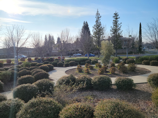 Regency Park - Visual