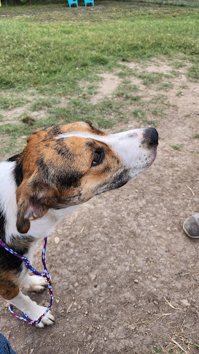 Kerr County Animal Control & Shelter