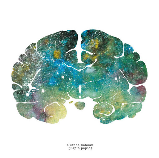 Melissa Toitot Neuropsychologue Equithérapeute - Autun Le Creusot, Saône et Loire, Bourgogne