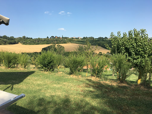 Piegaro - Visual
