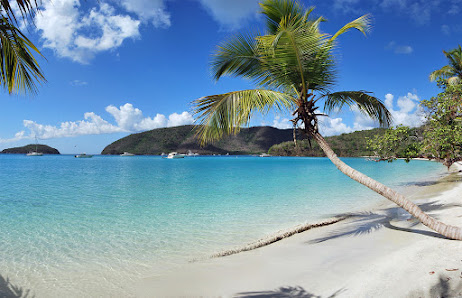 Jamaica World Travel 3814 N Druid Hills Rd, Decatur, GA 30033, United States