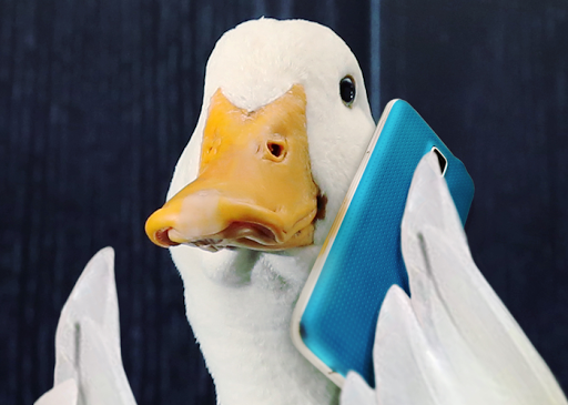 Casey Wells Aflac Insurance Agent