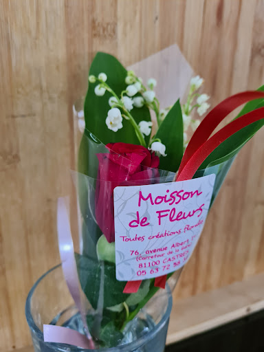 Moisson De Fleurs - Visual