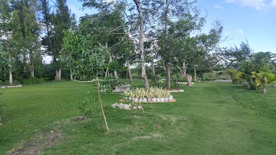 Photos of Eden Haiti