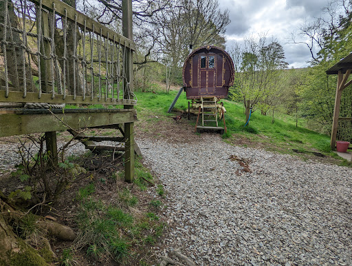 Copse Camp - Visual